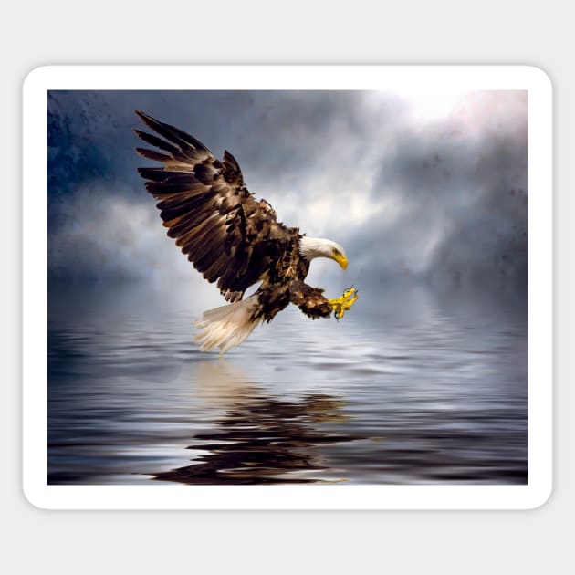 Bald eagle swooping Sticker by Tarrby